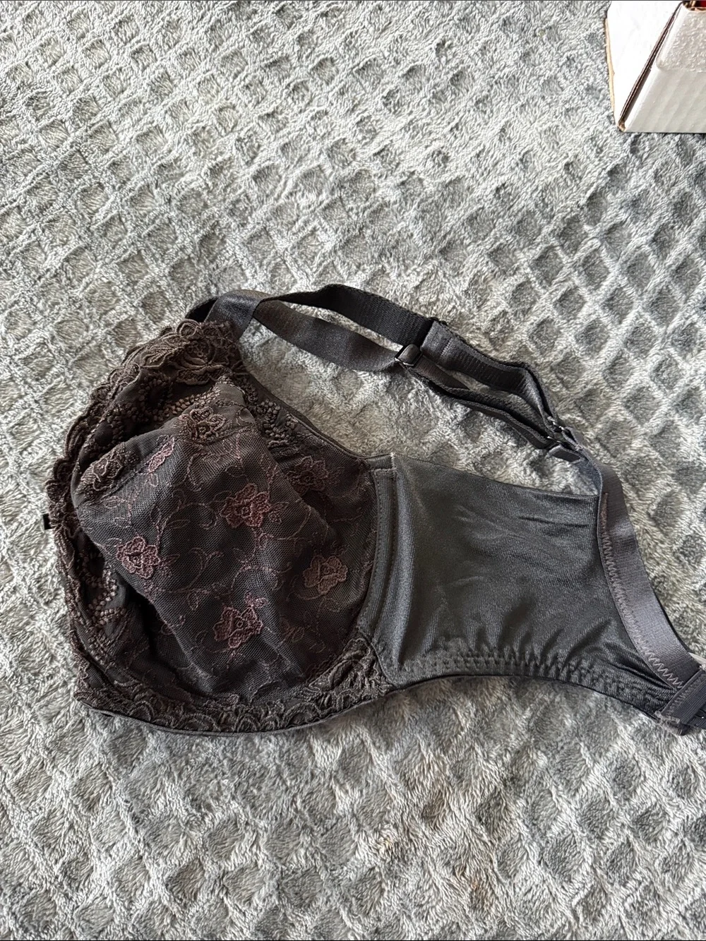 Wacoal Brown Lace Underwire Bra with Floral Embroidery